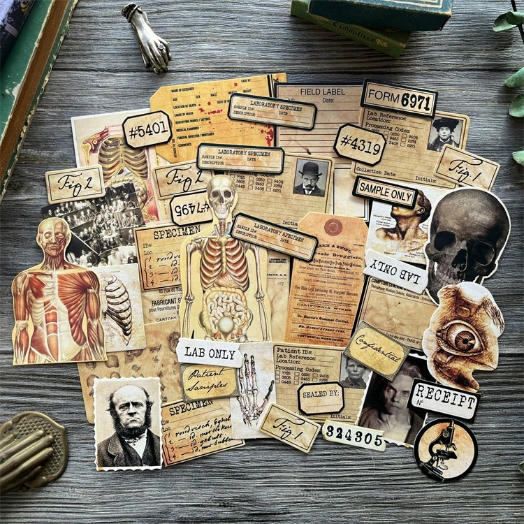 DIY Scrapbooking Vintage Doll  - đánh giá và giá Vintage Collectible Cards