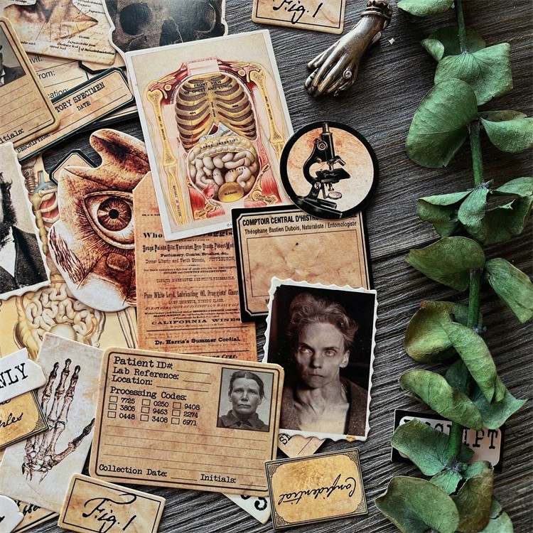 DIY Scrapbooking Vintage Doll  - đánh giá và giá Vintage Collectible Cards