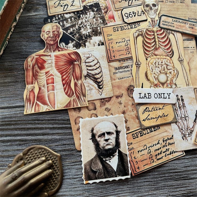 DIY Scrapbooking Vintage Doll  - đánh giá và giá Vintage Collectible Cards