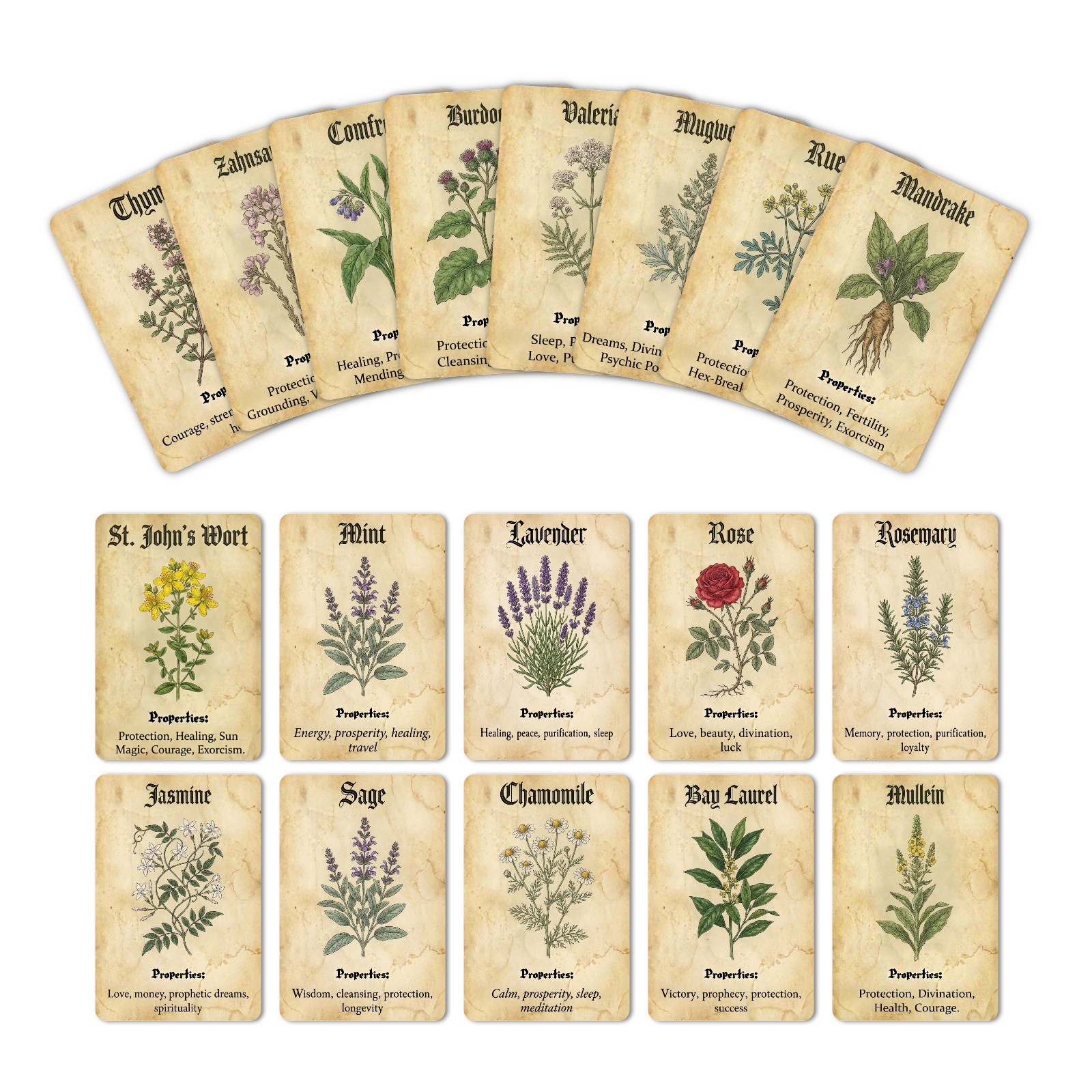 Vintage Magic Plant Theme Know - đánh giá và giá Vintage Collectible Cards