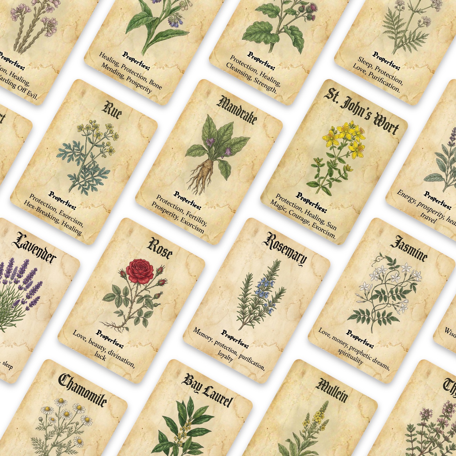 Vintage Magic Plant Theme Know - đánh giá và giá Vintage Collectible Cards